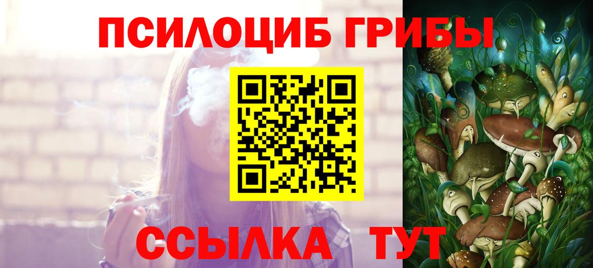 Мыски  Псилоцибиновые грибы GOLDEN TEACHER  Псилоцибиновые грибы Psilocybe  Вход с VPN 