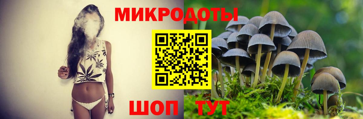 Галлюциногенные грибы Cubensis Мыски
