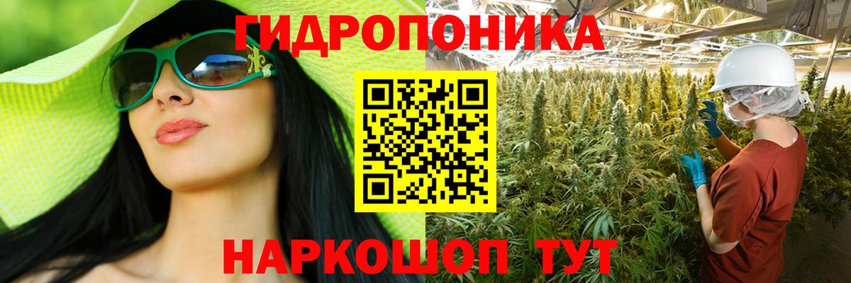 Шишки марихуана Bruce Banner Мыски
